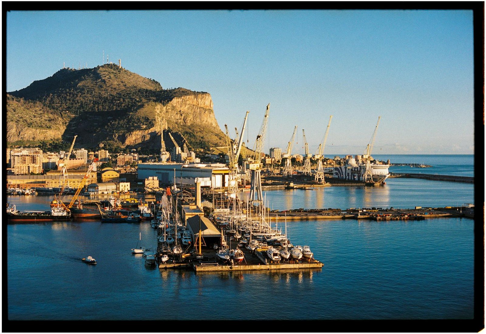 You Expect Ruins and Renaissance — Palermo Delivers Something Far Wilder