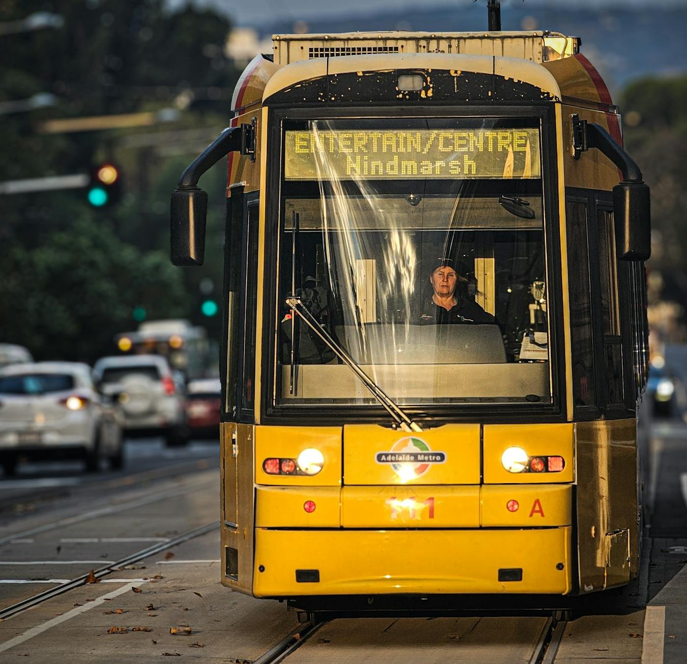 One Day in Adelaide: How to Make the Most of a Cruise Port Stop