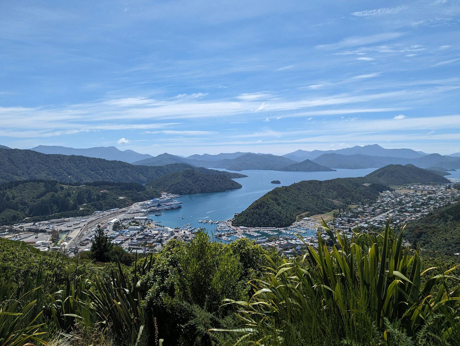 What Is There to Do in Picton, New Zealand When Your Cruise Ship Docks?