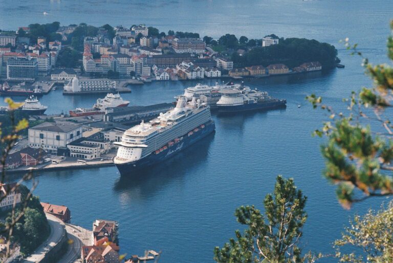 Torvik Leinøya Cruise Port Guide: Getting Around & What to Do