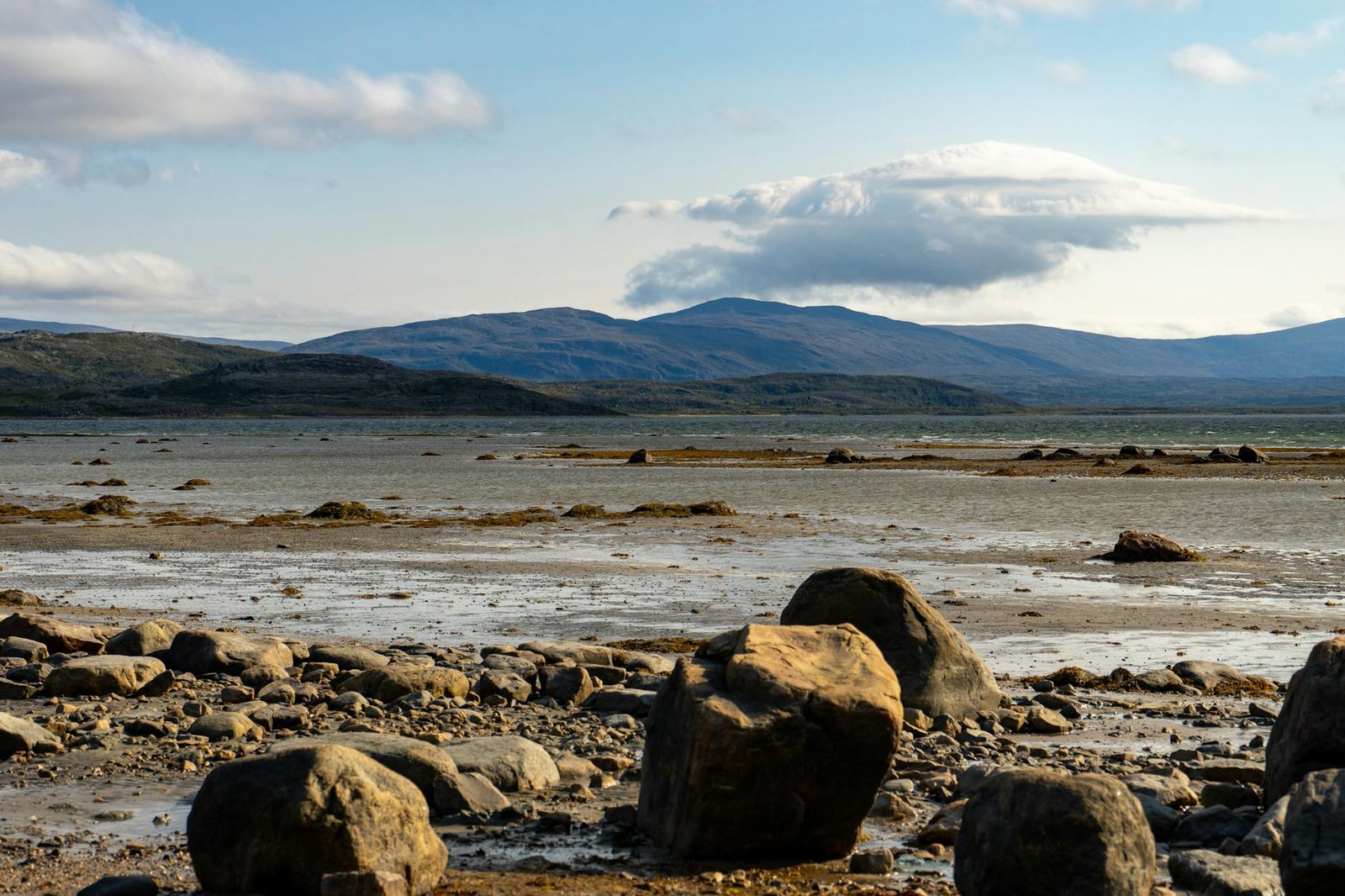 What’s Actually Worth Doing When Your Cruise Docks at Honningsvåg, Norway?