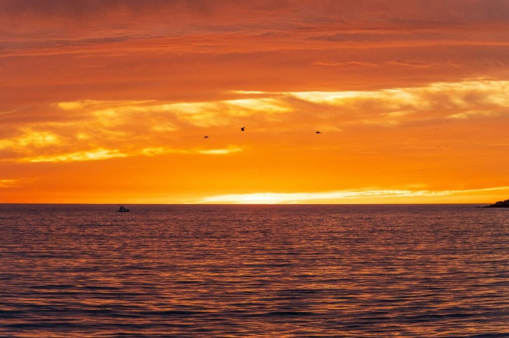 Golden sunset over the Pacific Ocean with boats on the horizon and birds flying across vibrant orange sky.
