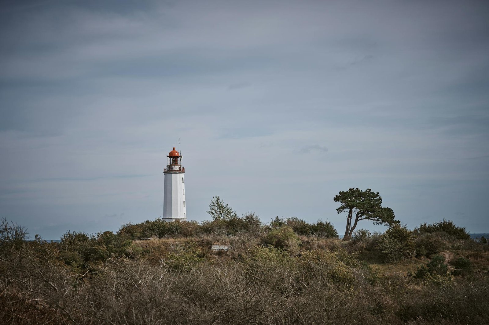 Where the Sea Goes Quiet: Arriving at Hiddensee Island by Ship