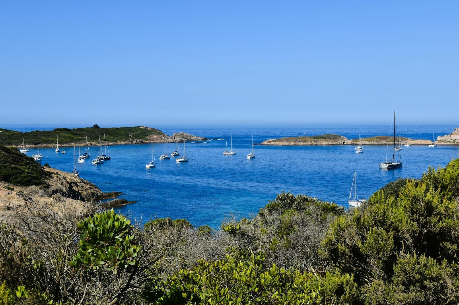 One Perfect Day on Porquerolles: How to Make Every Hour Count on France’s Most Beautiful Island