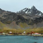 Grytviken