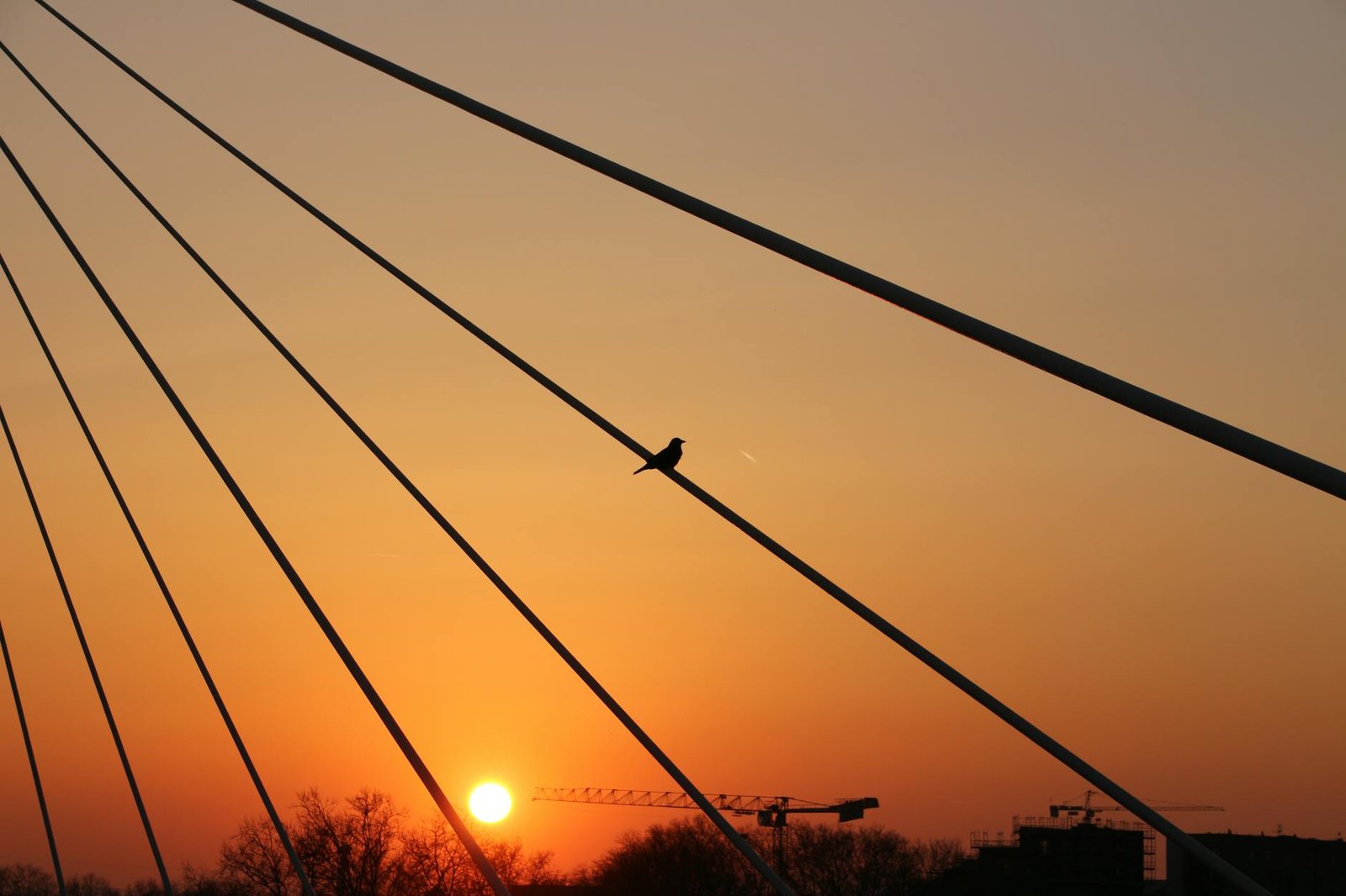 They Come for Germany, They Fall for France: What Really Happens When You Dock at Kehl-Strasbourg