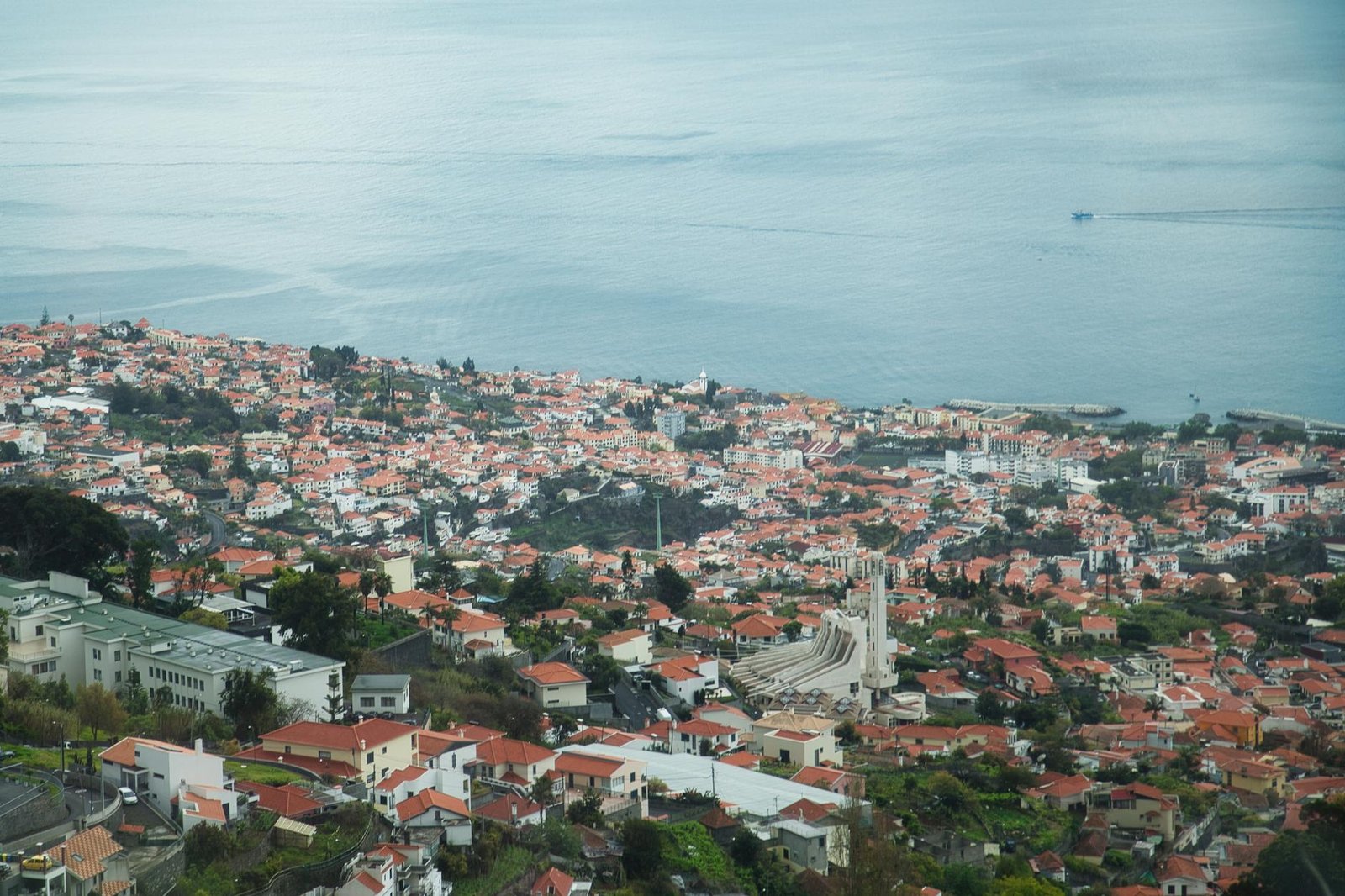One Day in Funchal: How to Make Every Hour Count