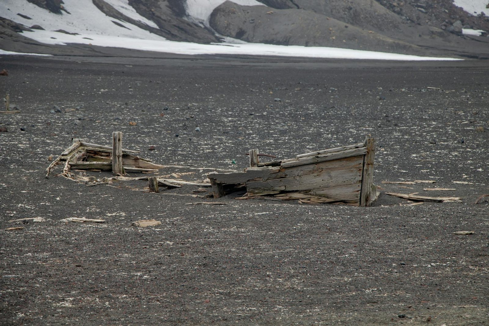 A Few Hours on Nelson Island: What to Expect from This Raw Antarctic Shore