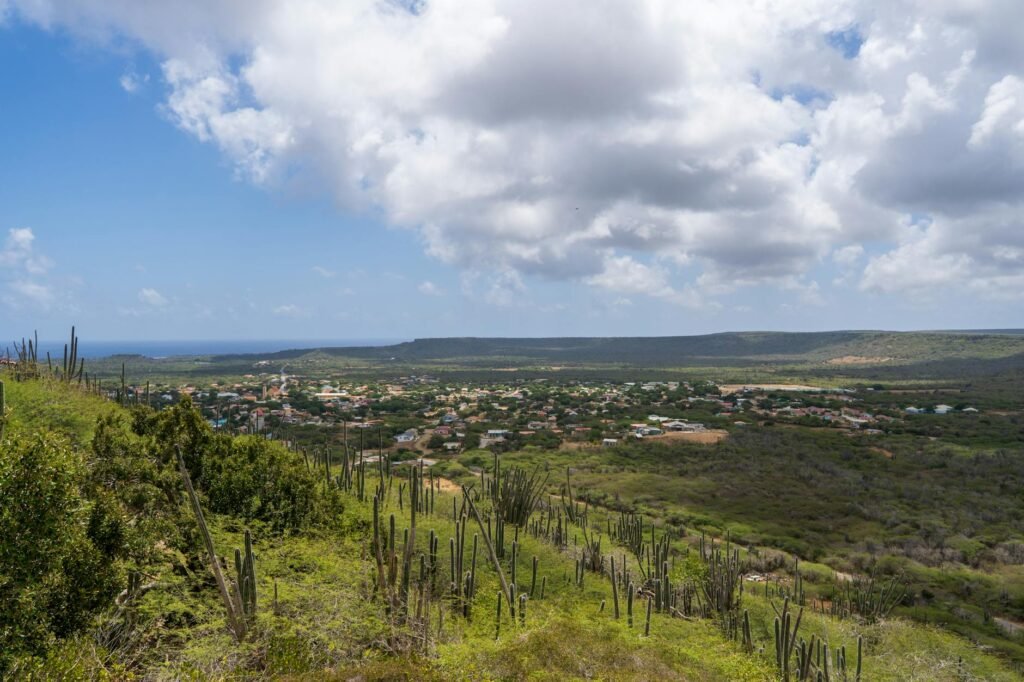 Aerial view of a lush valley town surrounded by green hills and sparse desert vegetation under a partly cloudy sky.