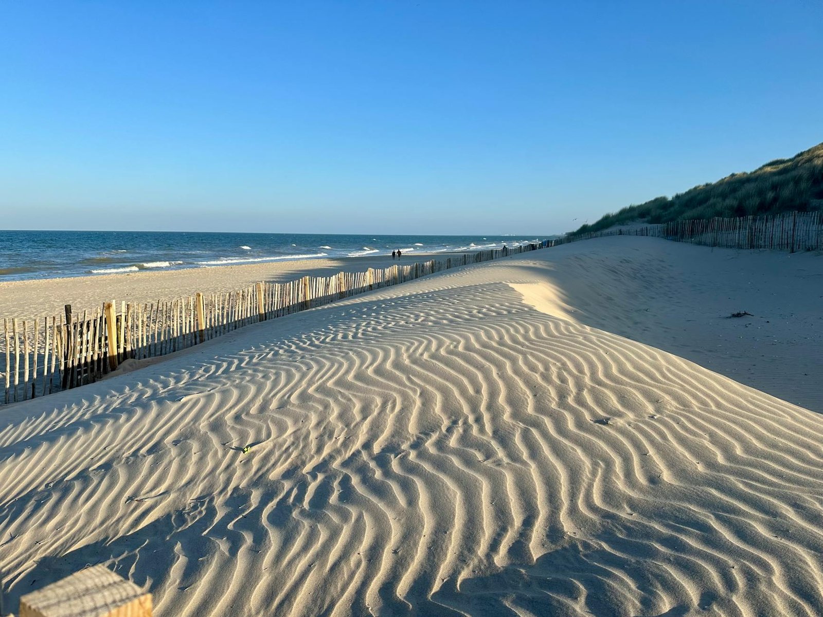 Dunbrody Famine Ship to Kilmore Quay Crab: How to Make the Most of a Day at Rosslare Europort