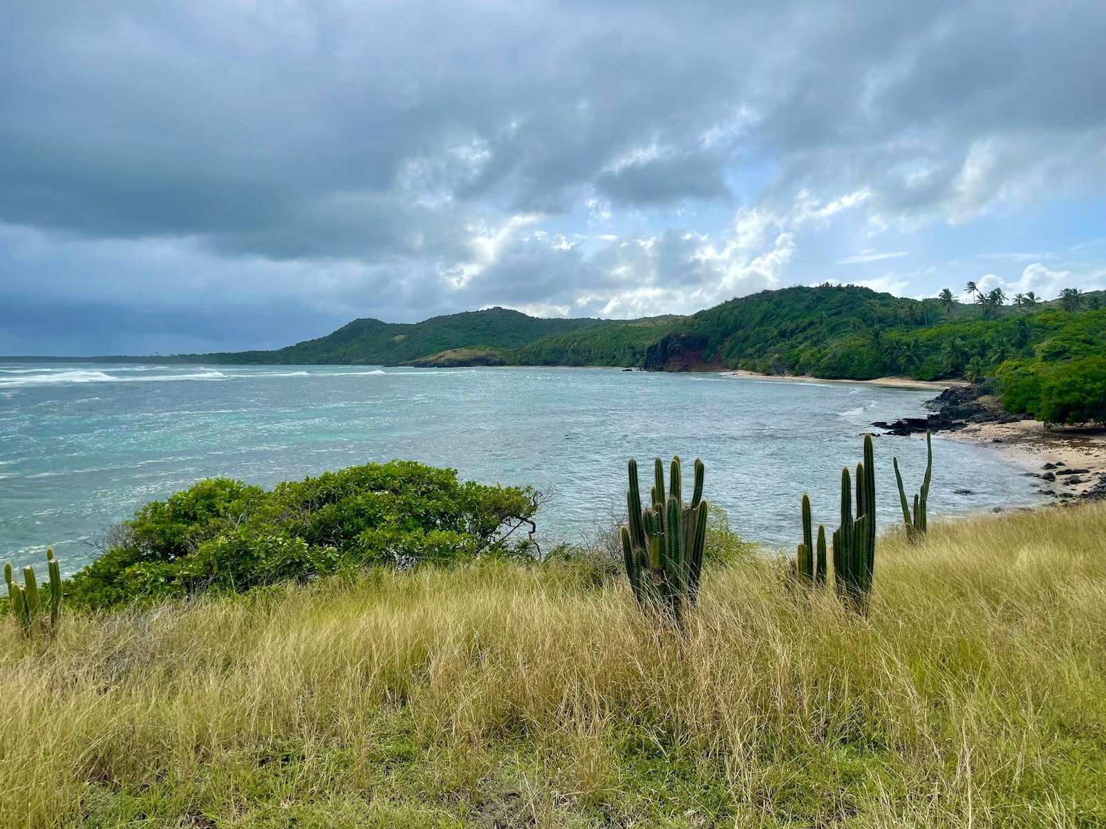 Rum, Reefs & the Real South Martinique