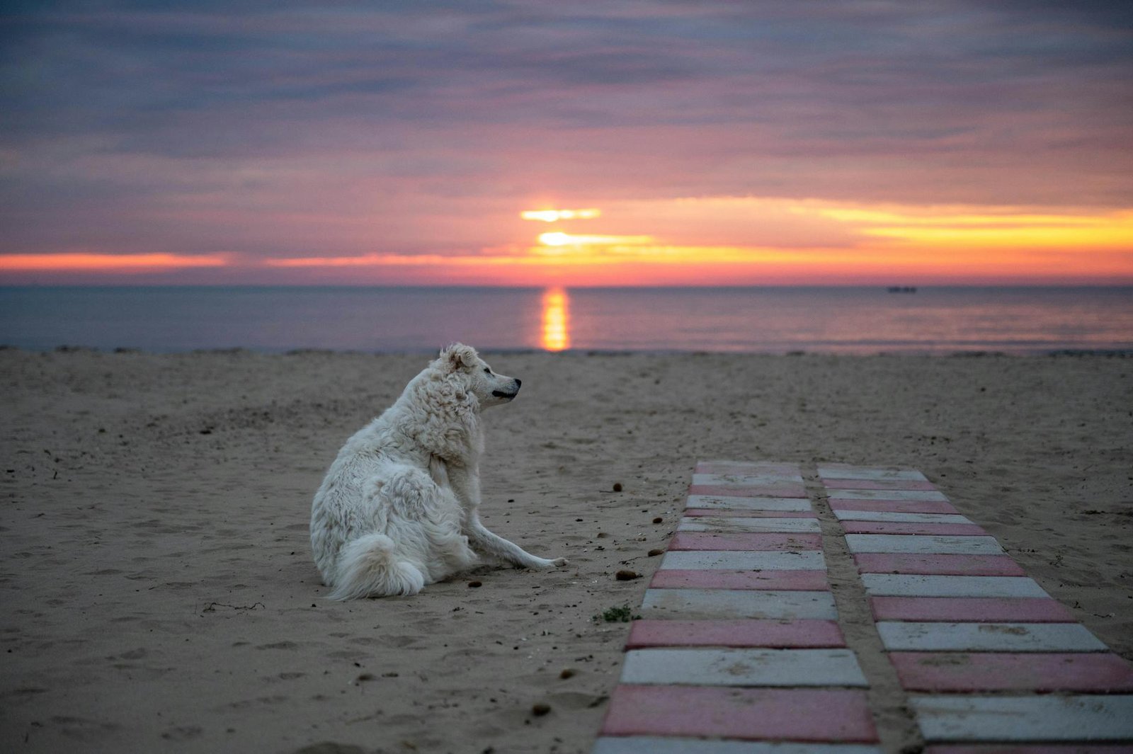 One Day in Manfredonia: How to Make the Most of This Underrated Puglia Port