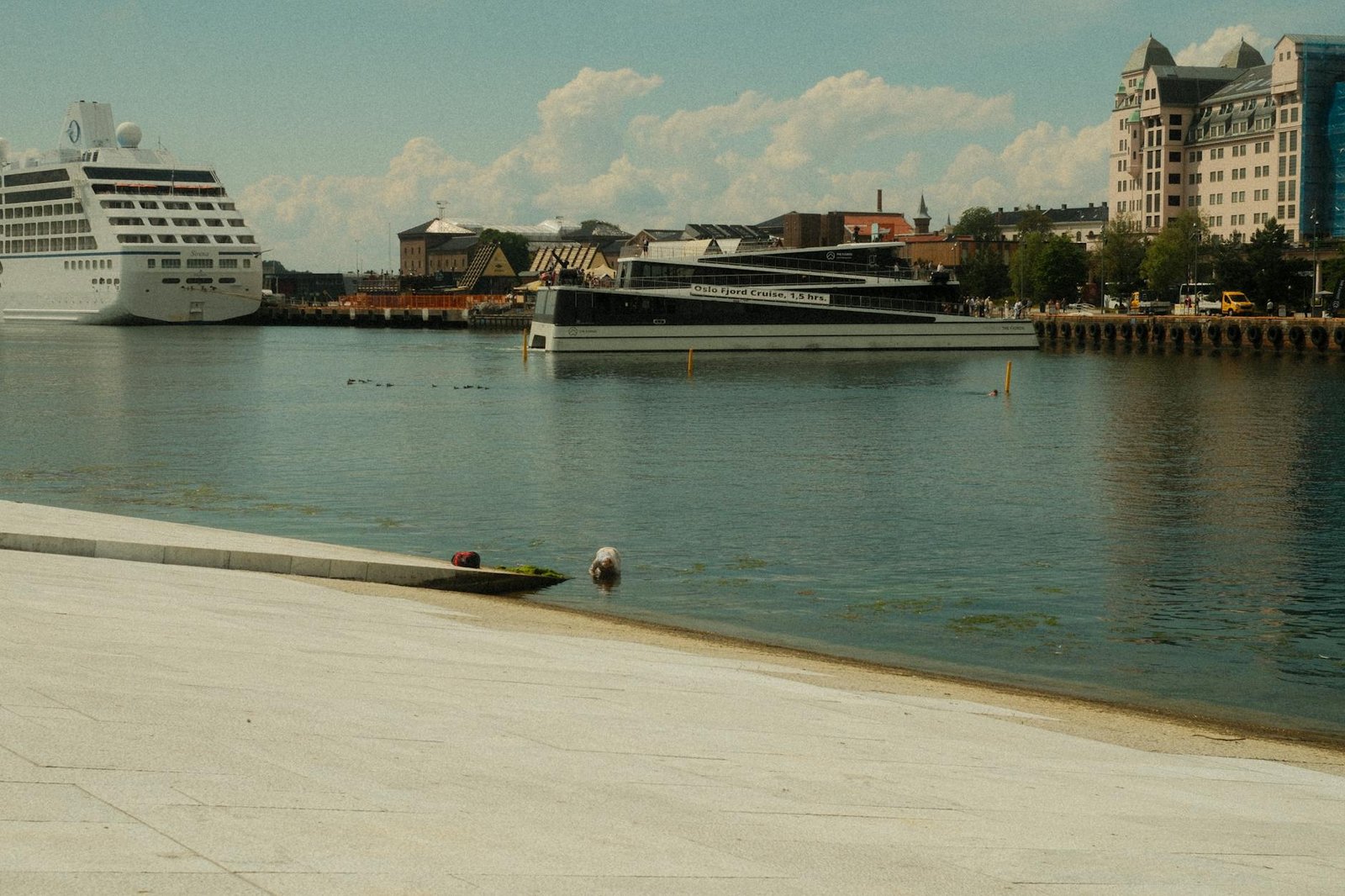 Fjord Mist and Viking Skies: Sailing Into Oslo by Cruise Ship