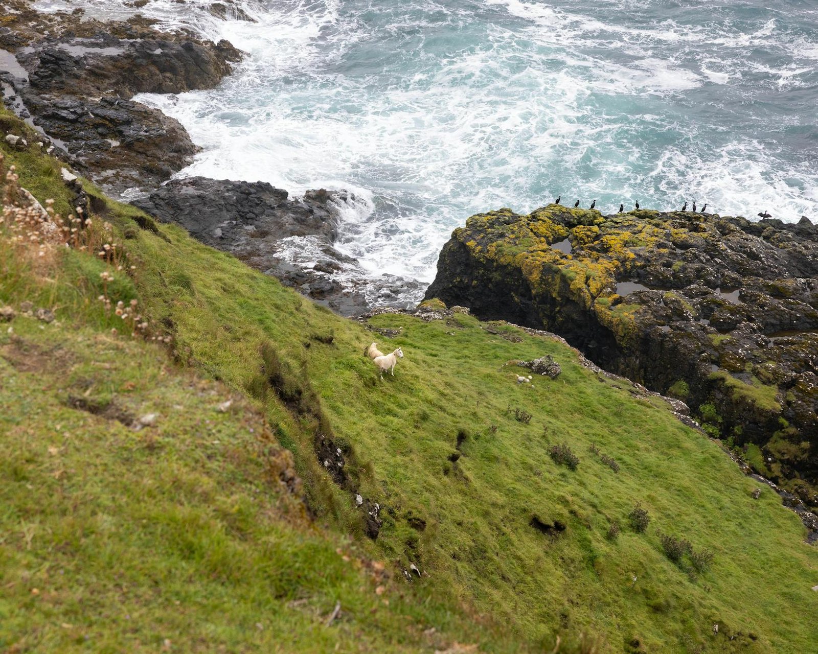 How to Spend a Day on Isle of Muck: Real Transport Costs, Hidden Beaches, and What Actually Makes This Tiny Scottish Island Worth Your Shore Day