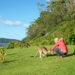 Penneshaw (Kangaroo Island)