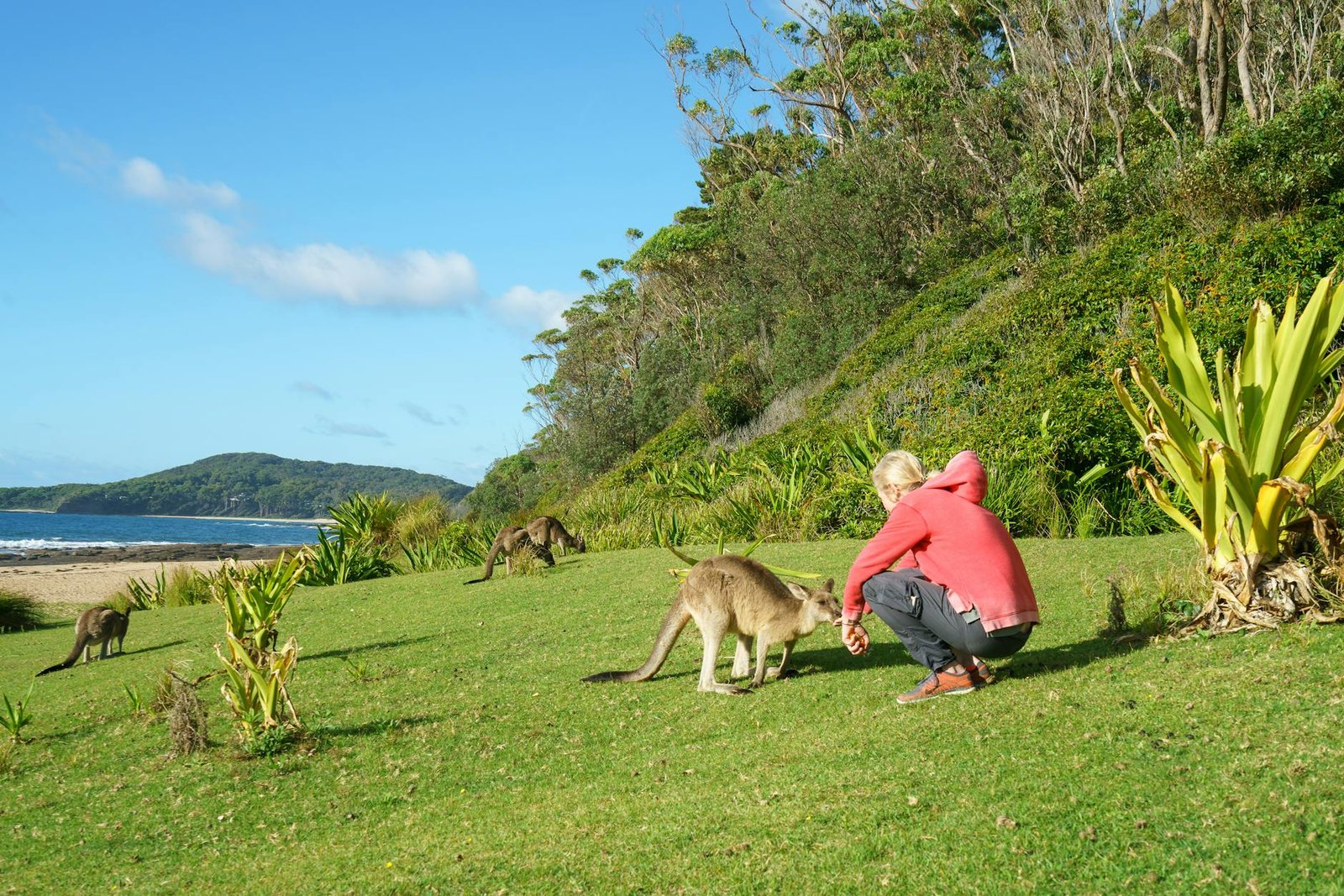 You Came for the Kangaroos — But Kangaroo Island Will Surprise You With So Much More