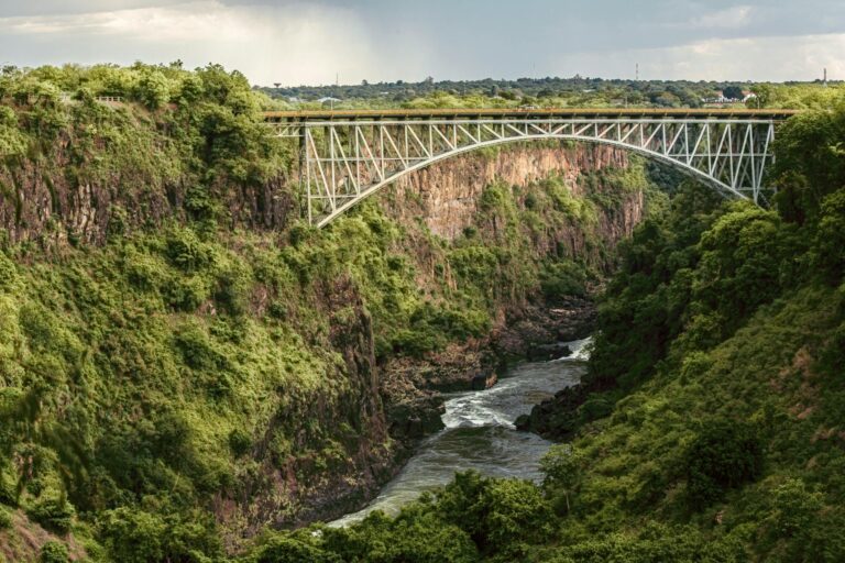 Victoria Falls Cruise Port Guide: Tender Tips, Things to Do & What to Expect