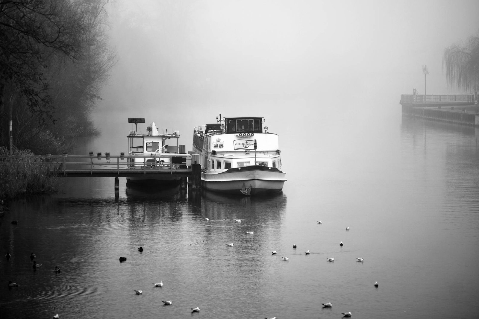 Frankfurt an der Oder: The German City That Shares Its Soul with Poland