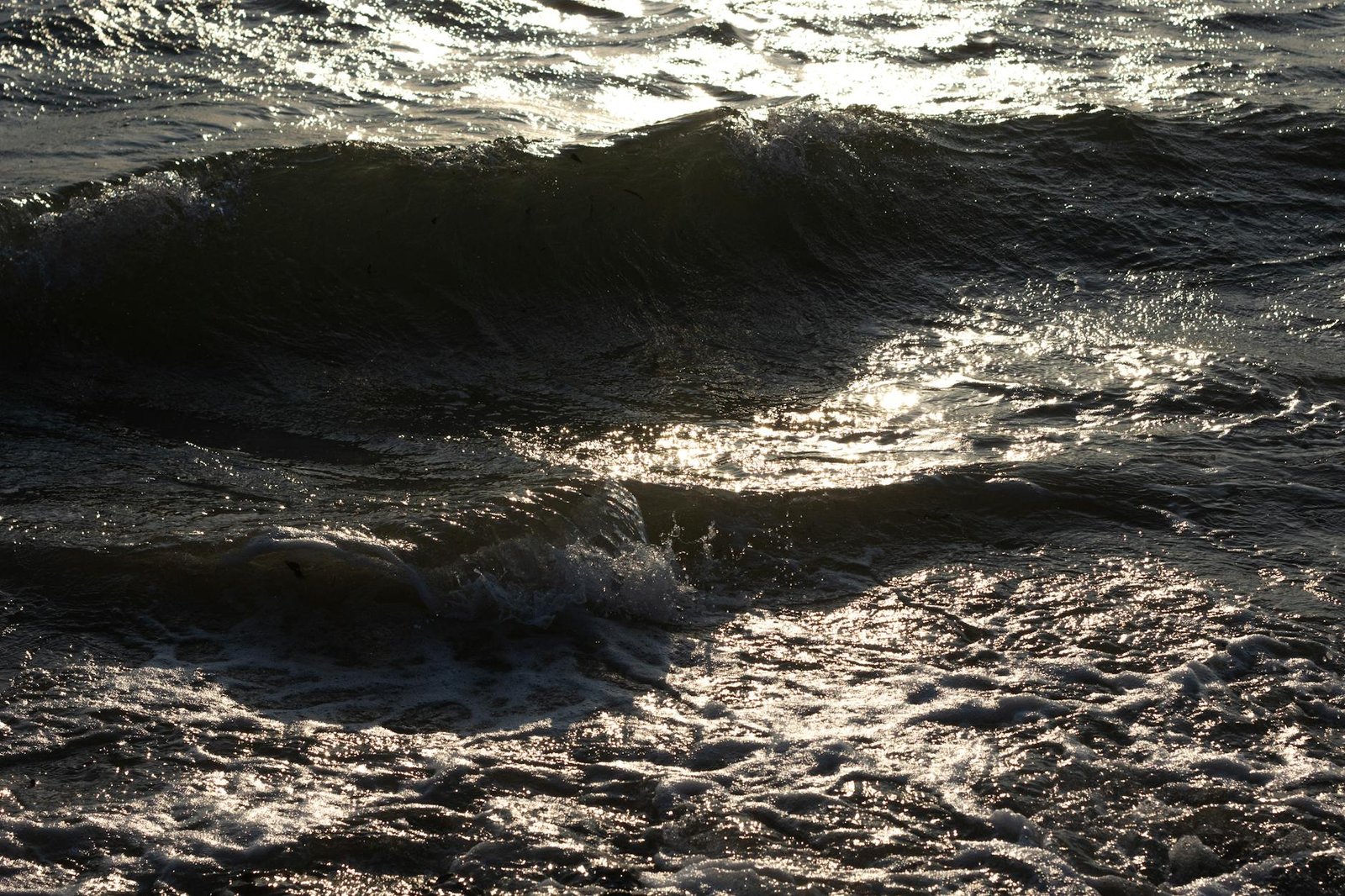 Madagascar’s Driest Corner: Why Toliara Is the Cruise Stop That Defies Every Expectation