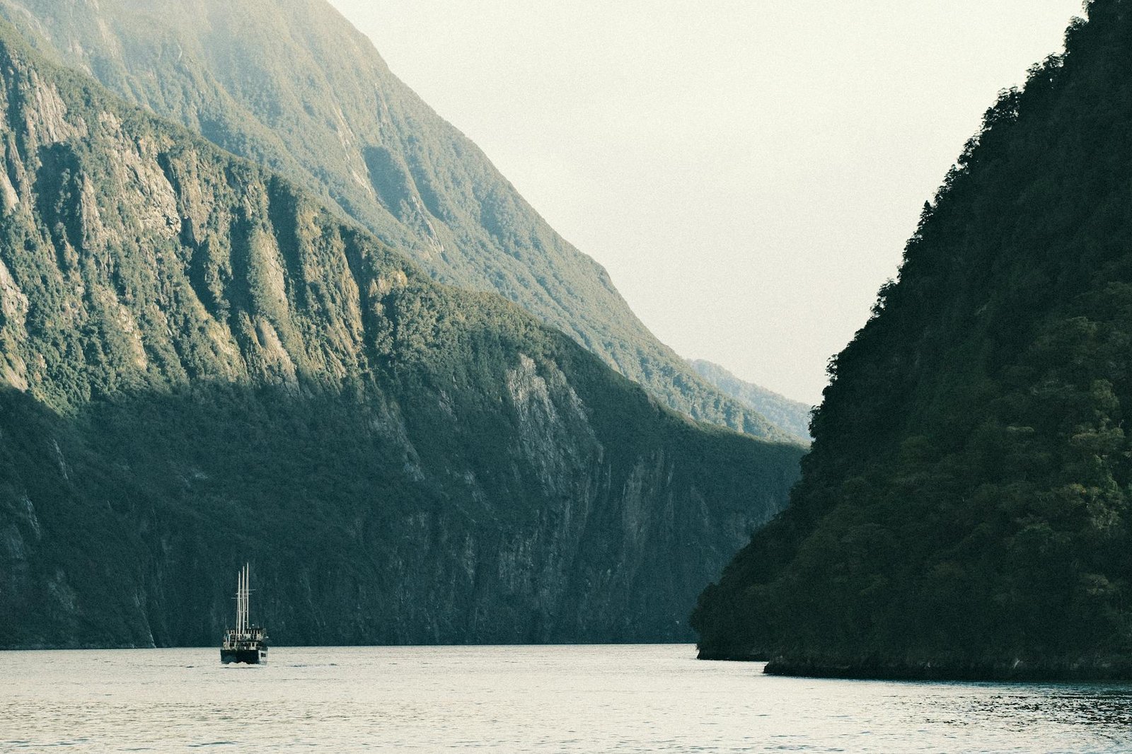 Fiordland National Park Is Larger Than Some Countries — Here’s What That Means for Your Cruise Visit