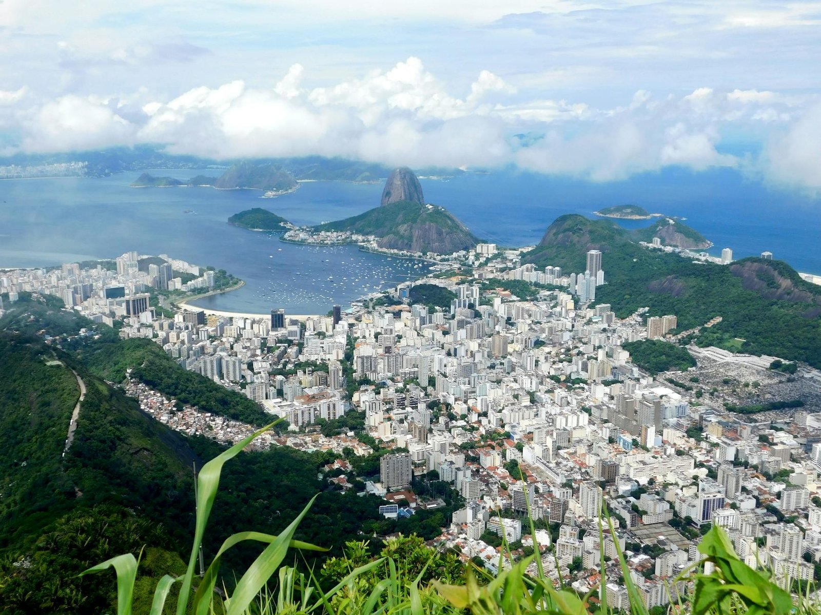 Half a Day on Isla Pan de Azucar: What to Expect When Your Cruise Calls Here