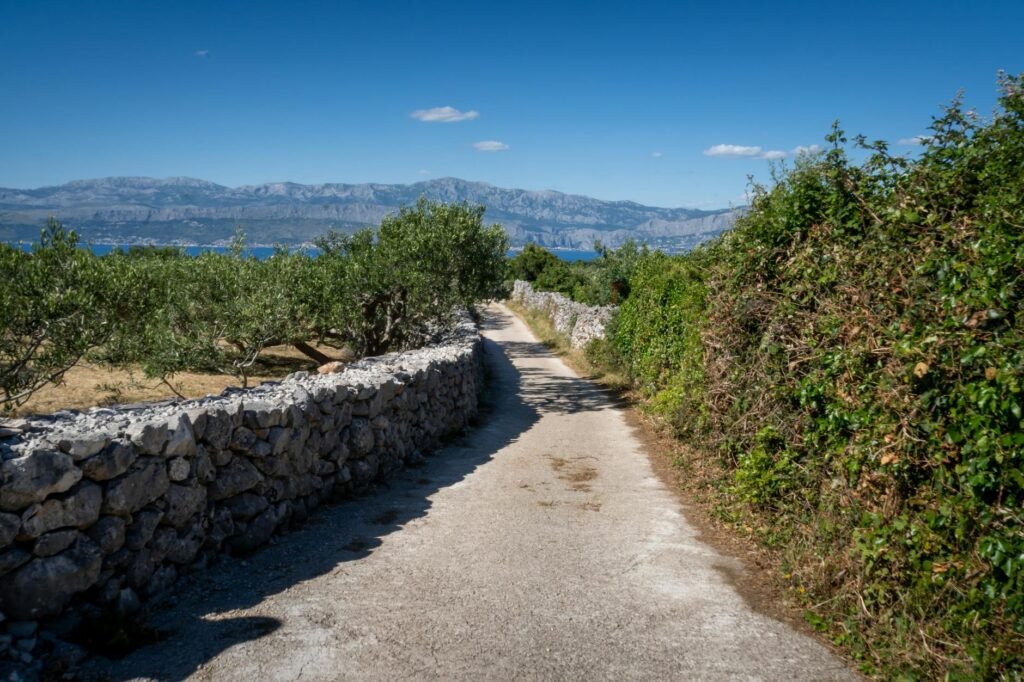 Rural pathway lined with stone walls and Mediterranean vegetation overlooking mountains and coastline.