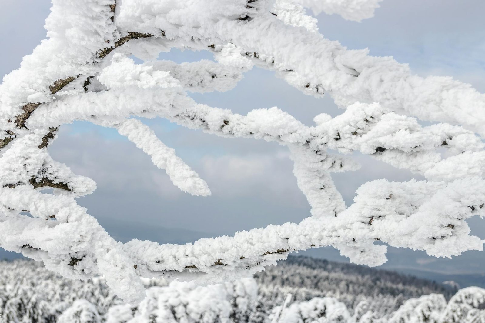 They Expect Medieval Cobblestones — What Cruisers Actually Find in Calvorde Will Surprise You