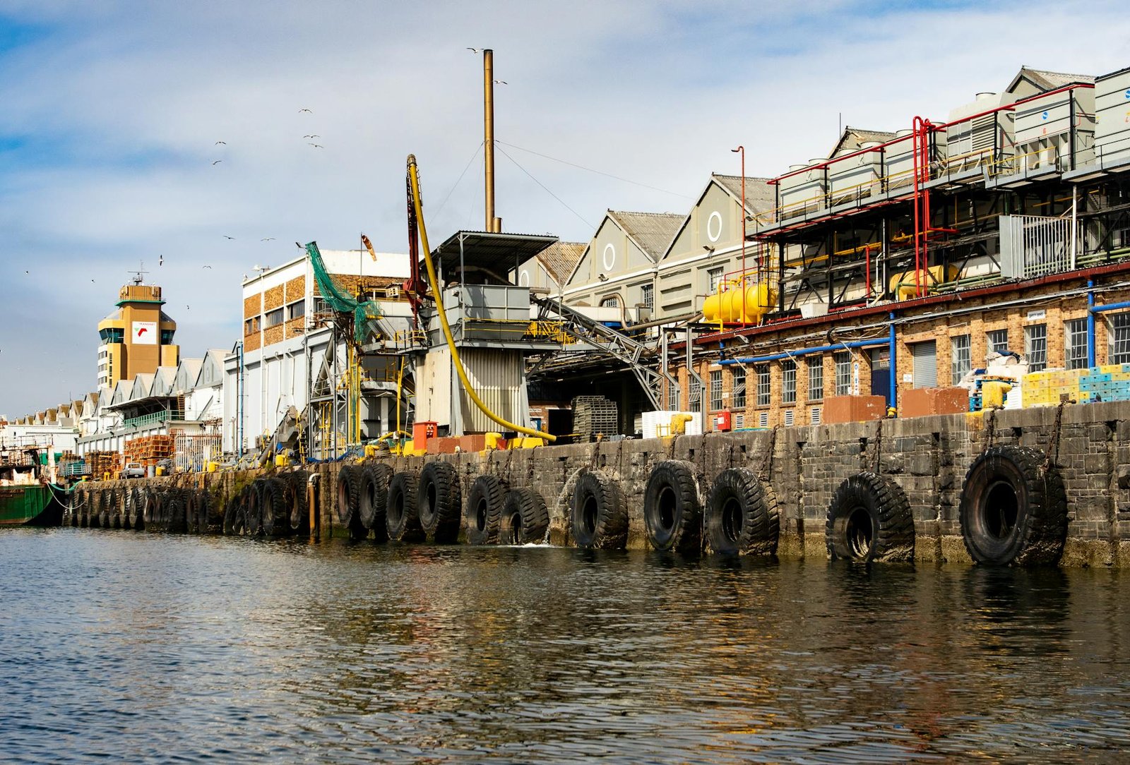 What Can You Actually Do in Saldanha Harbour on a Cruise Day — and Is It Worth Leaving the Ship?