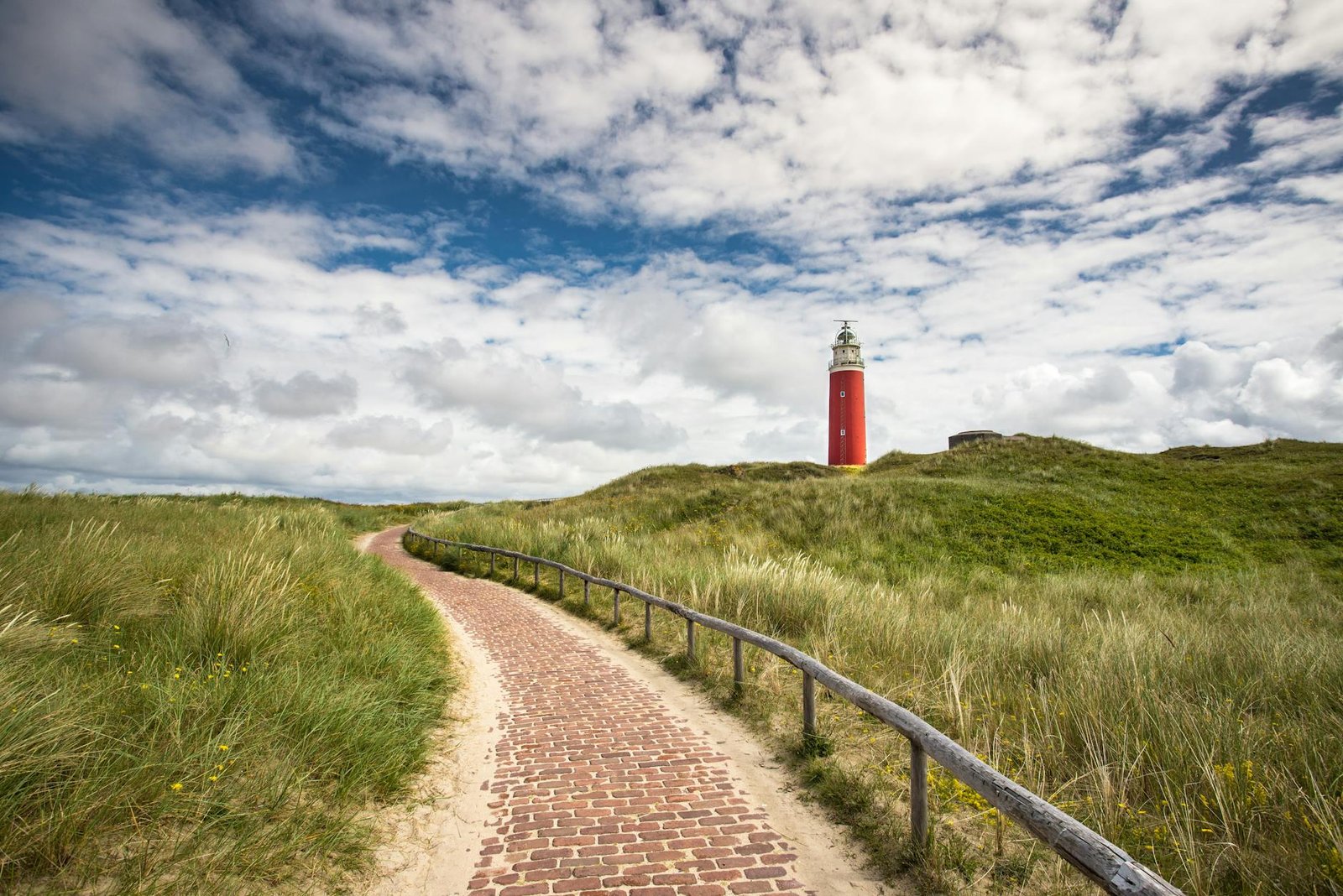 Saltwind, Sheep Meadows, and the Quiet Magic of Stepping Ashore at Oudeschild-Texel Island