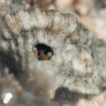 Luganville Vanuatu