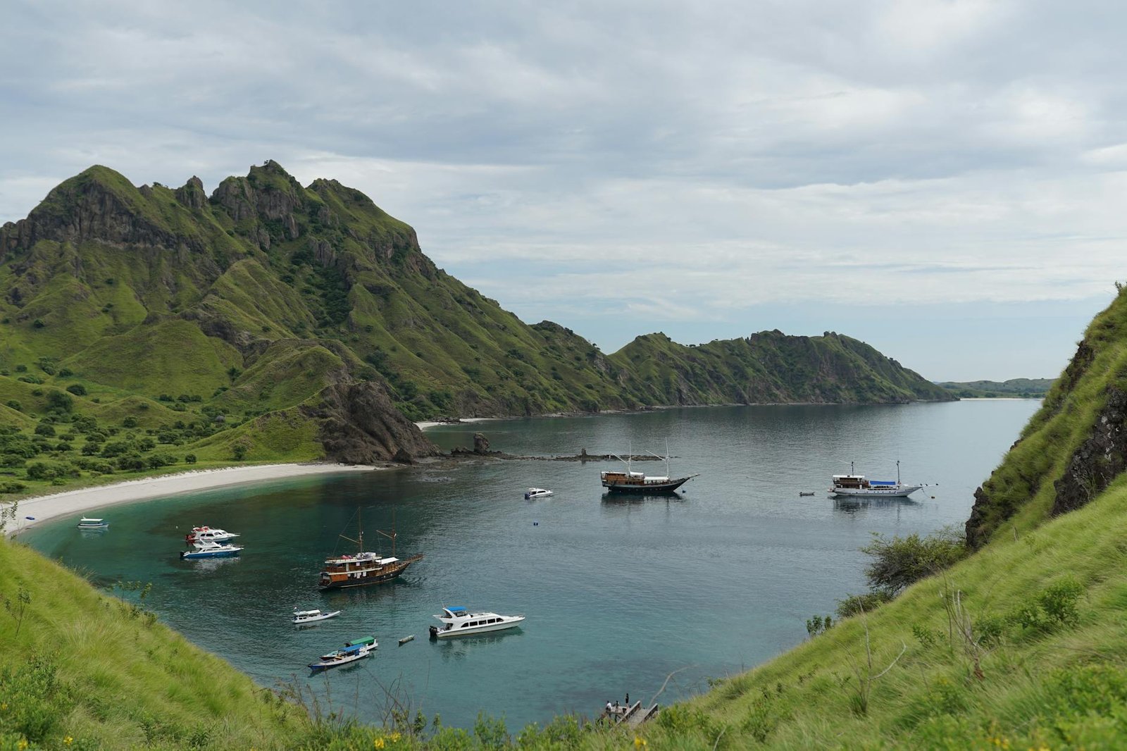 One Day on Komodo Island: What to Expect When Your Cruise Ship Anchors Here