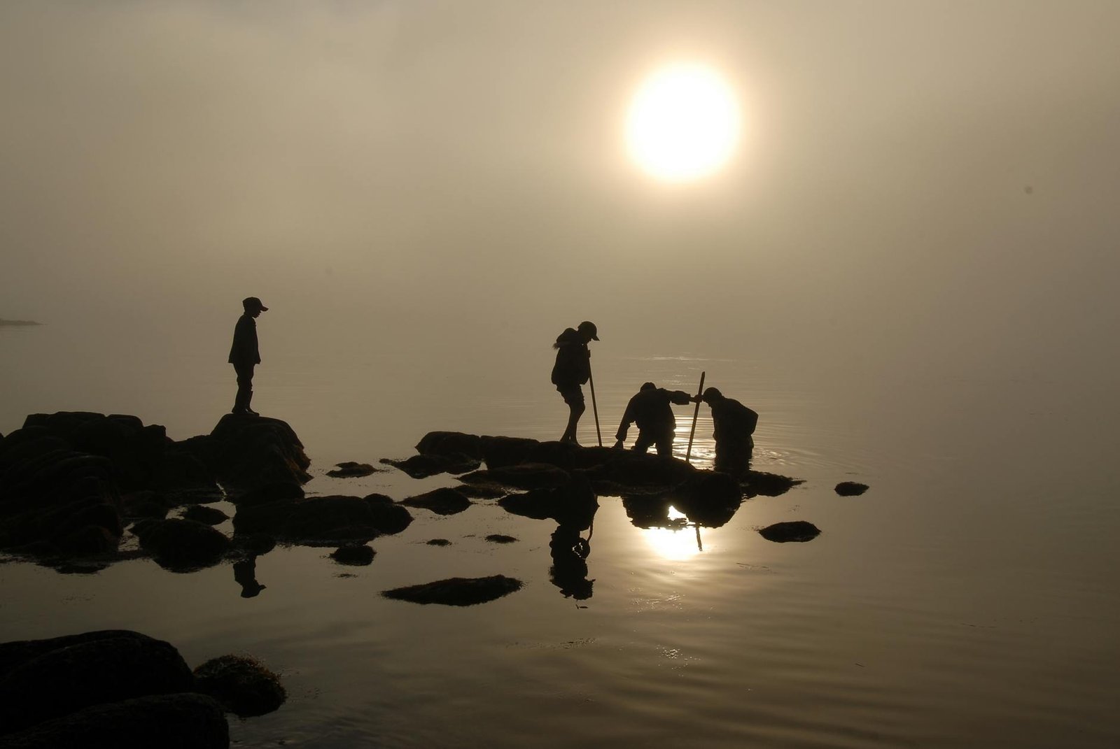 Walrus Colonies and Whalebone Arches: What Awaits You at Chukotka Peninsula, Russia