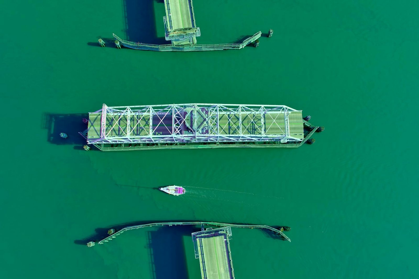 They Come for Southern Charm. They Leave Obsessed with the Sea Islands.