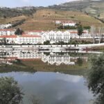 Pinhão
