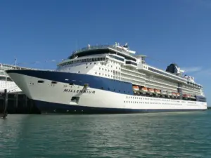 Celebrity Millennium