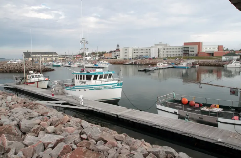 Havre-Saint-Pierre Cruise Port Guide: Things to Do, Walkability & Local Tips