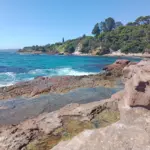 Eden, Australia