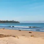 Muara