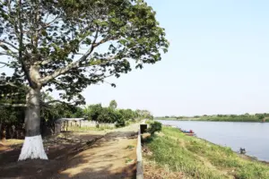 Santa Bárbara de Pinto Cruise Port Guide: Practical Tips & Magdalena River