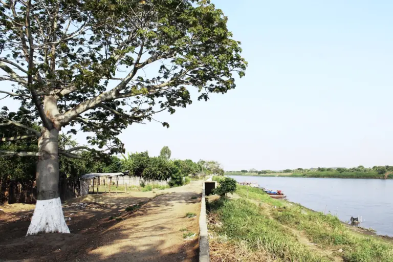 Santa Bárbara de Pinto Cruise Port Guide: Practical Tips & Magdalena River