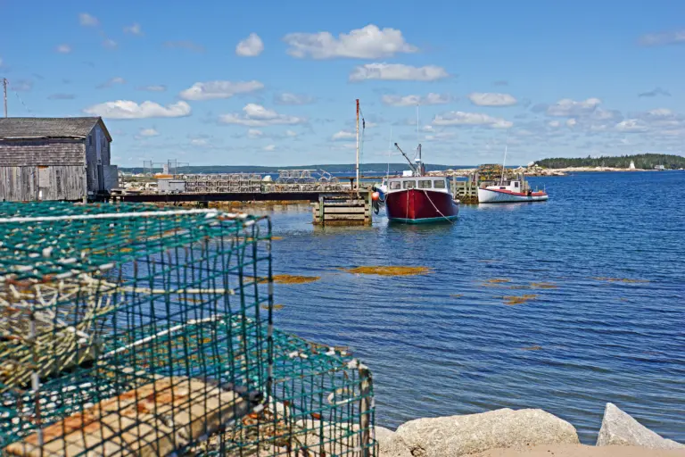 Indian Harbour Cruise Port Guide: Things to Do, Walkability & Local Tips